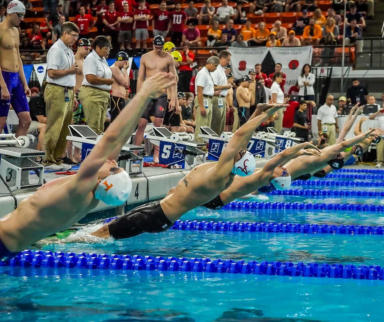 De explosieve start van een NCAA-finale Zwemmers duiken van de startblokken aan het begin van een race tijdens de NCAA kampioenschappen, het hoogtepunt van college zwemmen in Amerika.