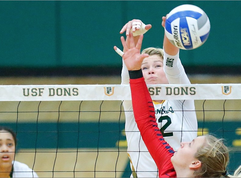 College Volleyball Made Scholarships