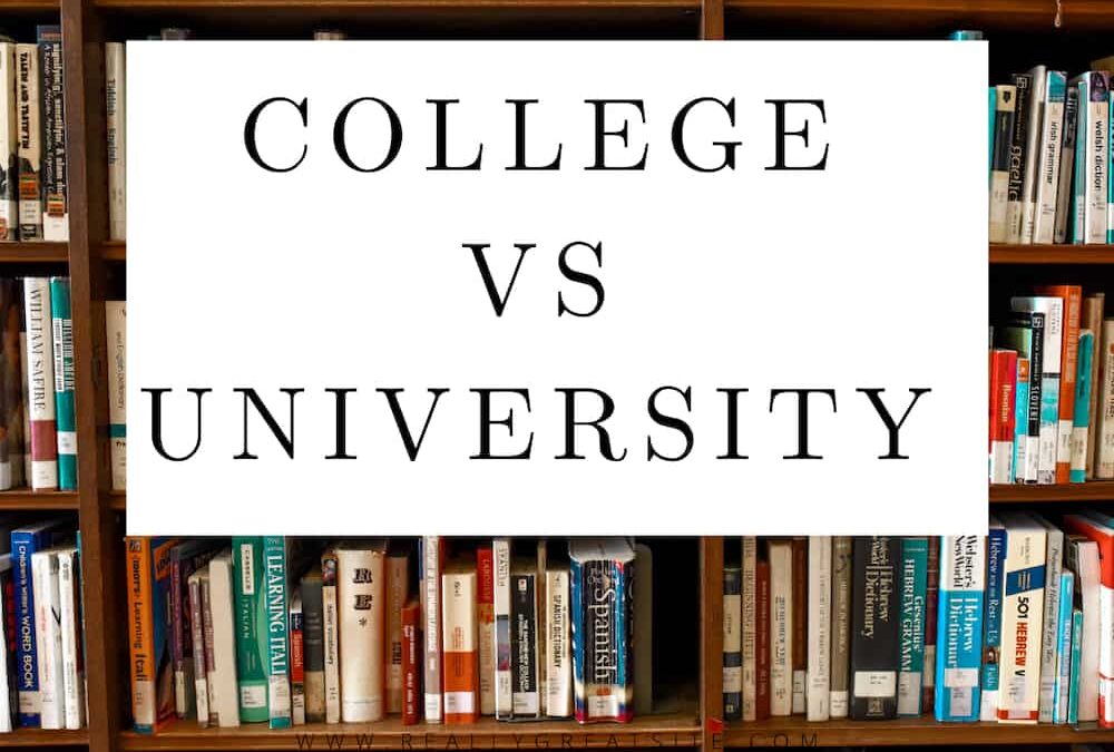 Difference between College and University